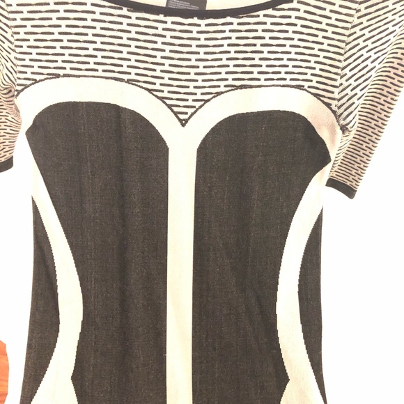 Black and Gray Bebe DRESS - Picture 6 of 6